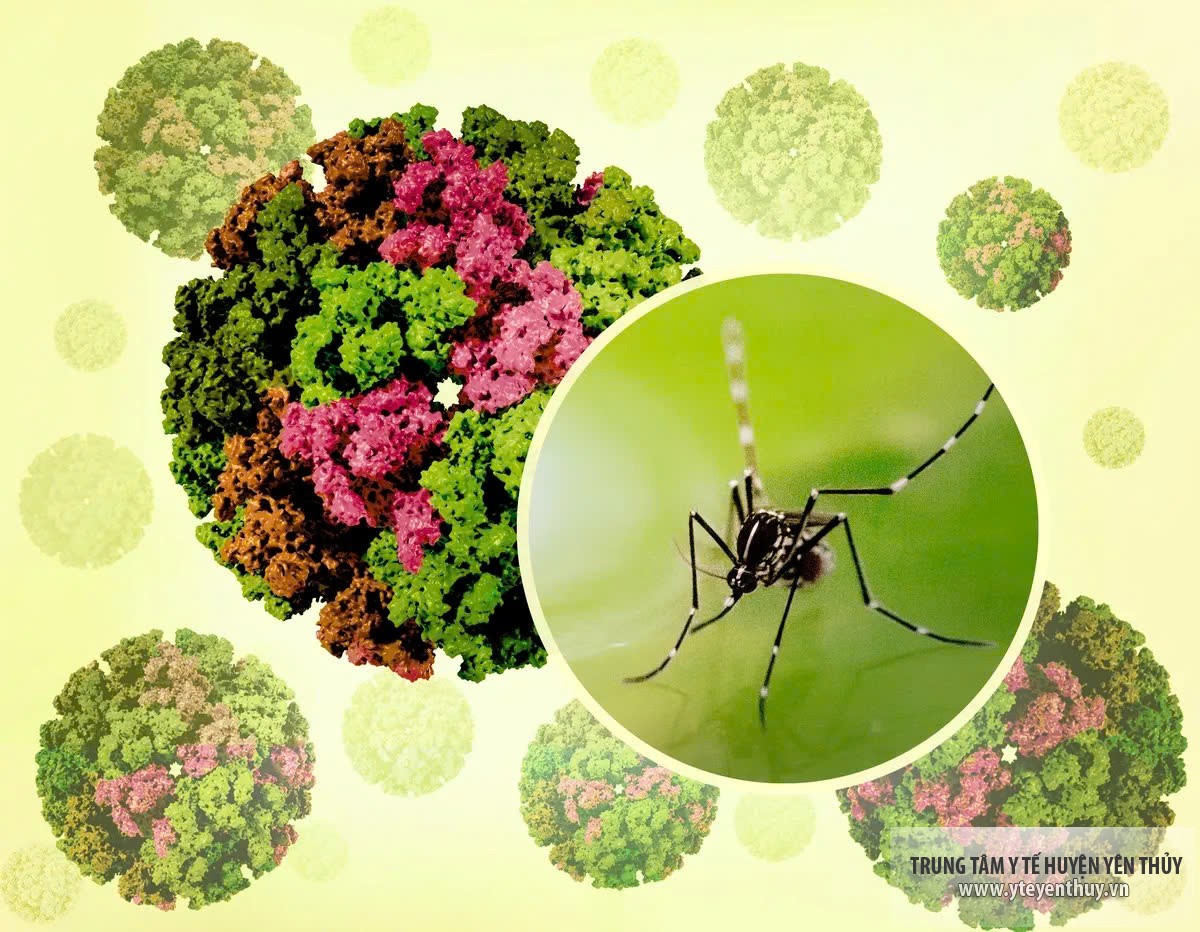 KHUYẾN CÁO PHÒNG CHỐNG BỆNH CHIKUNGUNYA